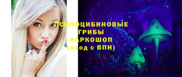 тгк Новозыбков