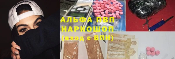 тгк Новозыбков