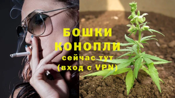 герыч Новодвинск