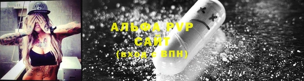 тгк Новозыбков