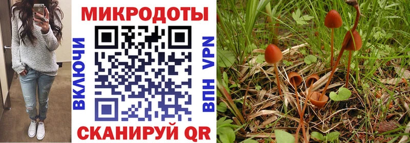 Галлюциногенные грибы Magic Shrooms  Урус-Мартан 